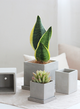 北欧迷你水泥方形多肉方盆陶瓷陶盆仙人掌四方花盆植物带托盆栽小
