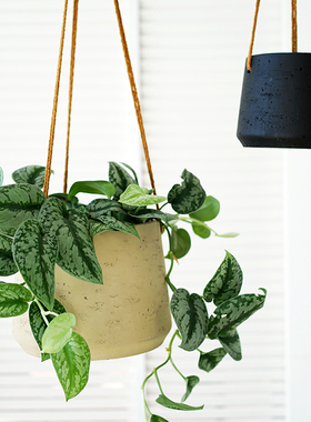 吊盆悬挂式垂吊悬挂植物挂盆挂式吊篮吊挂吊兰植物挂篮花盆悬吊