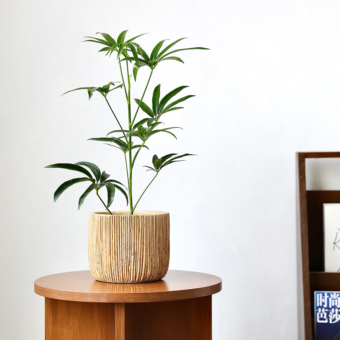 仿藤竹编原木风圆形桌面花盆套盆
