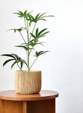 仿编织藤编竹编木质圆形花盆室内装饰绿植盆栽桌面摆件套盆原木风