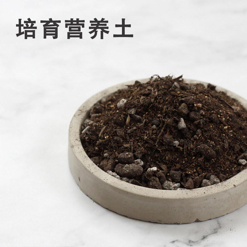 花土通用型营养土多肉小袋装花盆种花松磷土壤家用陶粒盆栽园艺,鲜花速递/花卉仿真/绿植园艺,介质/营养土,淘宝优惠券,粉丝福利购,淘宝优惠卷