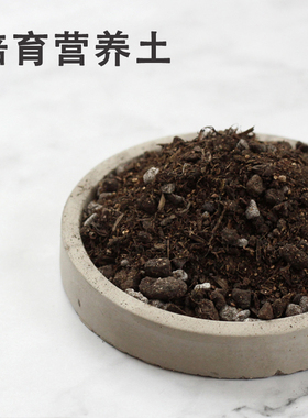 花土通用型营养土多肉小袋装花盆种花松磷土壤家用陶粒盆栽园艺