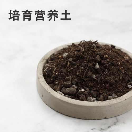 几木创品营养土改良土壤陶粒