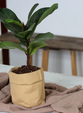 北欧简约水泥花盆布袋兰花牛皮纸日式创意多肉ins蝴蝶兰套盆纸袋