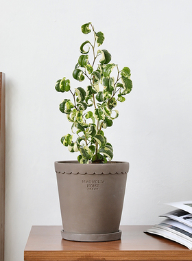 韩式创意设计水泥花盆透气绿植陶盆陶土复古小清新桌面盆栽带托盘