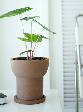 韩国透气水泥花盆兰花高创意陶土蝴蝶兰高款陶盆高脚桌面盆栽大号