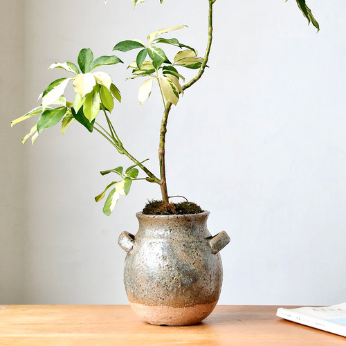 手工粗陶双耳流泉枫高款花盆