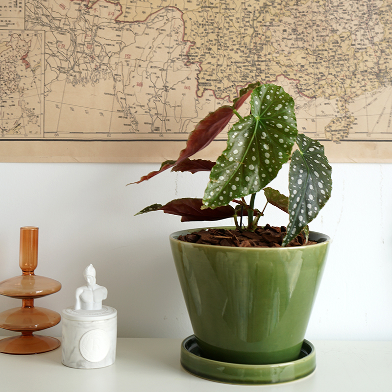 创意个性敞口陶瓷花盆客厅