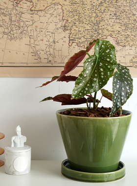 复古釉面绿色陶瓷敞口花盆兰花北欧陶土室内盆栽大号墨绿侘寂植物