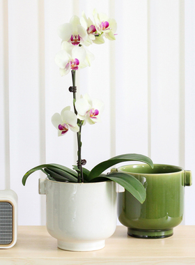 北欧陶瓷花盆ins无孔水培绿色釉面大口径陶盆套盆小海芋绿植盆栽