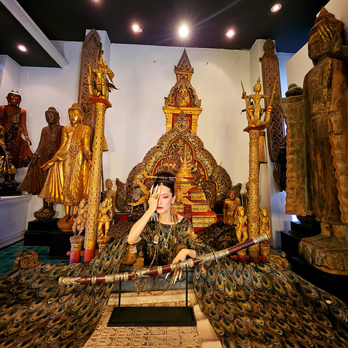 我是朱丽叶全真丝绡提花欧根纱孔雀仙衣