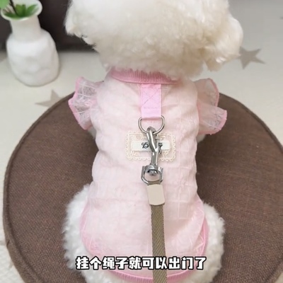 可牵引狗狗夏天背心薄款透气网纱小型犬泰迪比熊博美宠物夏季衣服