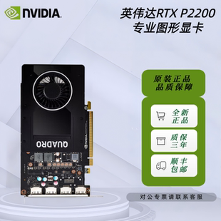 英伟达NVIDIA Quadro P2200 5G工包专业图形设计建模渲染视频剪辑
