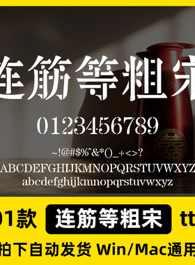连筋等粗宋 ttf格式 Win/Mac/Procreate字体包中文简体字库AI/PS