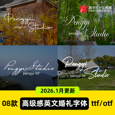 ps剪映简约高级感婚礼浪漫手写英文vlog视频剪辑文艺LOGO设计字体