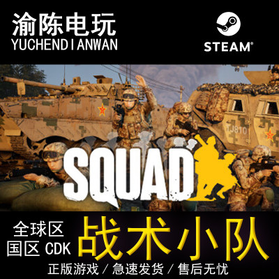 Steam正版 战术小队 Squad  国区cdkey激活码