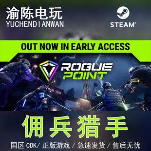 Steam正版 佣兵猎手Rogue Point 国区cdkey激活码