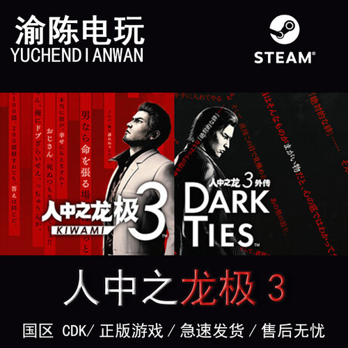 Steam正版人中之龙极3国区CDKey