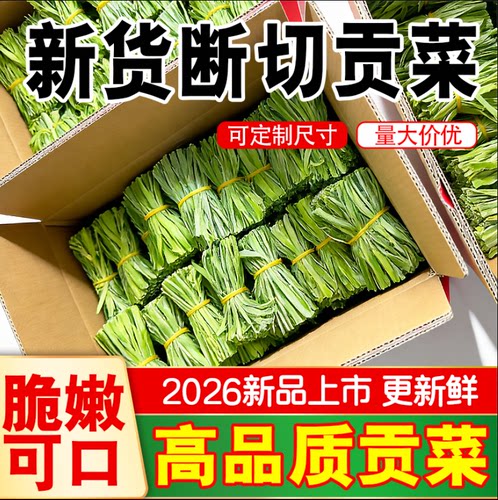 2026年新货上市贡菜出口品质