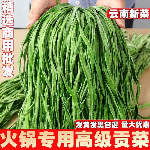 云南干货精品贡菜干五斤装