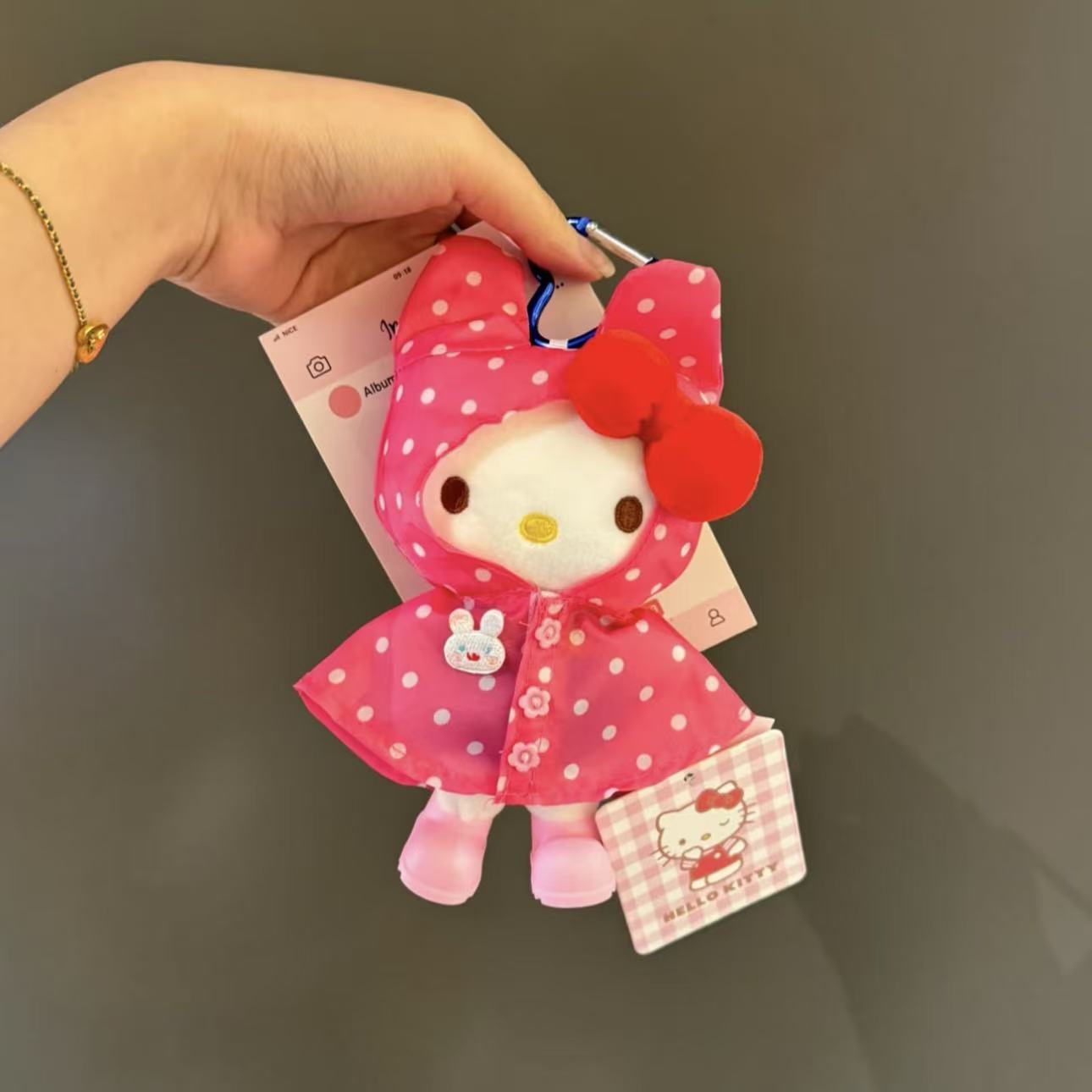 日本正版雨衣HelloKitty