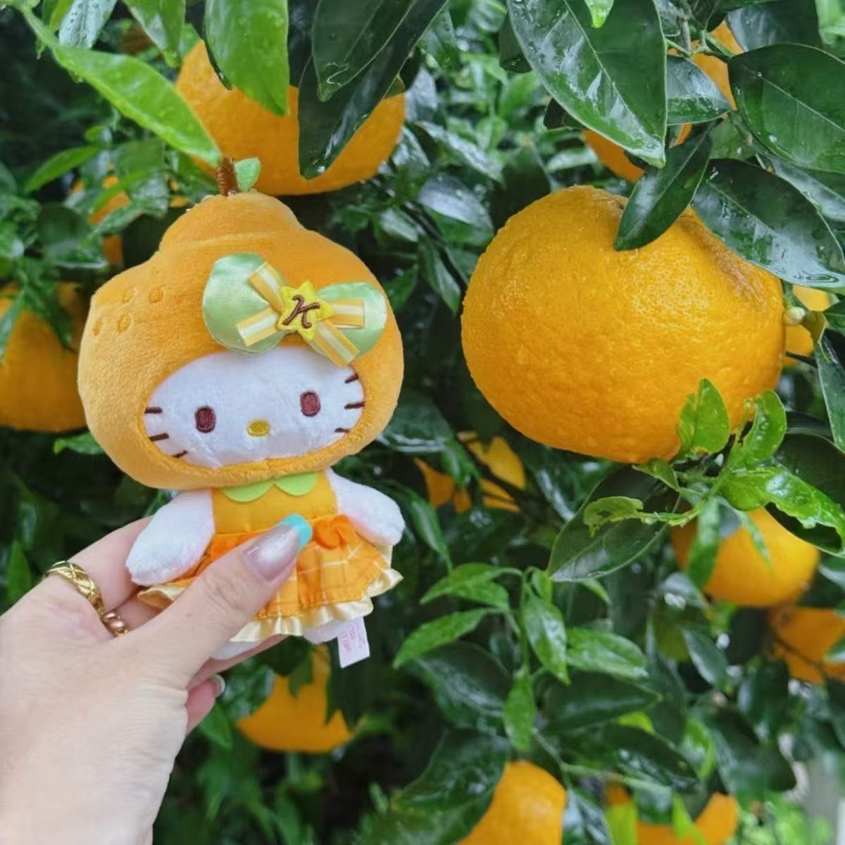 日本可爱济州岛限定Hello
