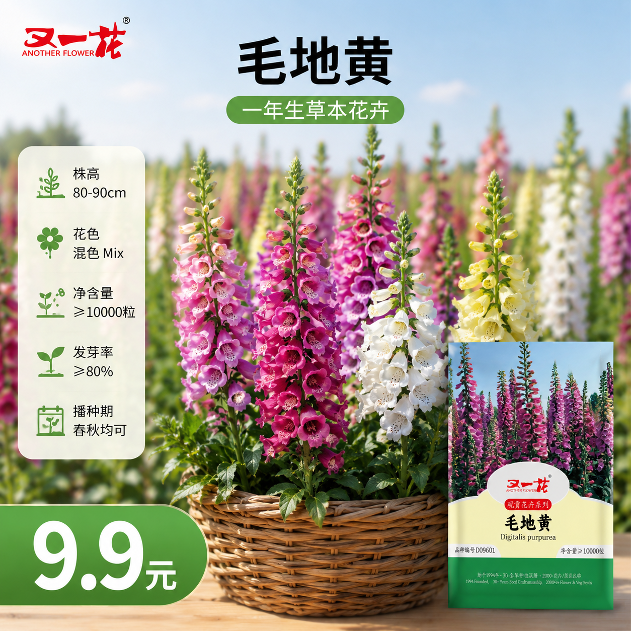 又一花毛地黄种子多年生草本花卉春秋播种混色观赏花种10000粒