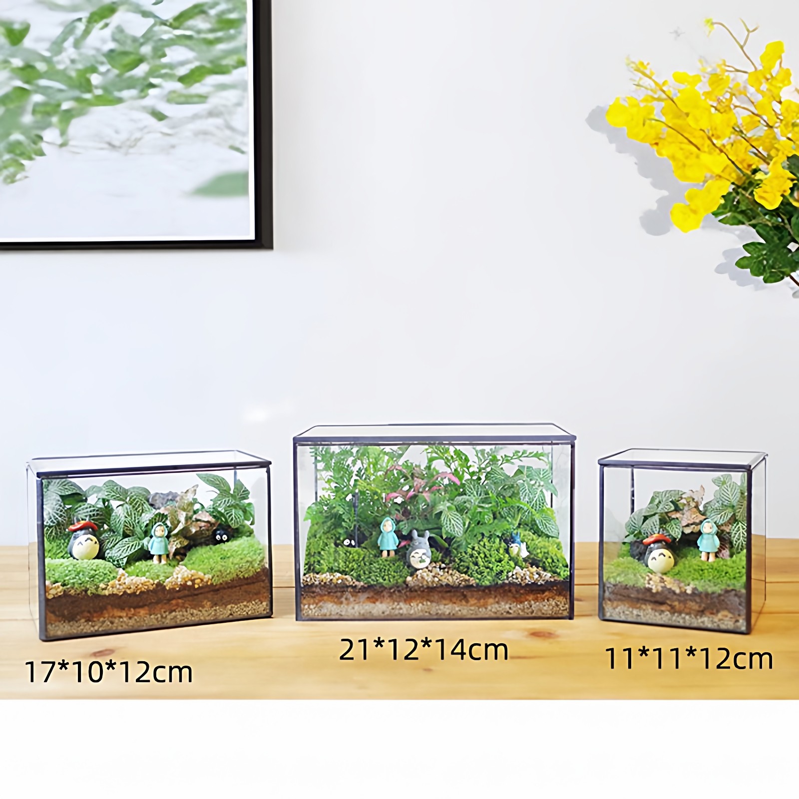 苔藓微景观生态瓶玻璃花房创意多肉花盆家居摆件情人节生日礼物,家居饰品,花盆,淘宝优惠券,粉丝福利购,淘宝优惠卷