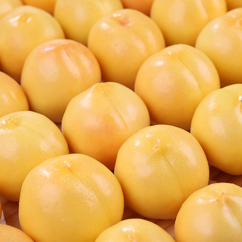 正宗蒙阴黄金油桃应当季整箱蜜桃时令水果孕妇香甜多汁脆甜大桃子