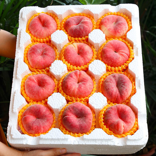 山东蒙阴红毛蟠桃5斤新鲜应当季时令水果农家水蜜桃现摘现发整箱8