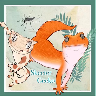 Skeeter Gecko补运费链接