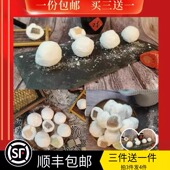 天津特产正宗老城里汤圆钙奶传统鲜奶什锦水果元 宵多口味小吃15个