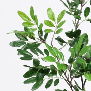 仿真绿植单支槐树叶 手感配叶过胶植物叶 插花造景装饰仿真槐树叶