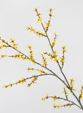 黄色假花花卉小朵迎春花 连翘花 寸寸金 客厅落地长枯枝树