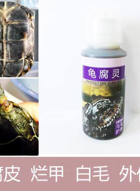 乌龟腐甲腐皮张口呼吸有叫声白便绿便巴西龟草龟白眼肿眼浮水侧浮