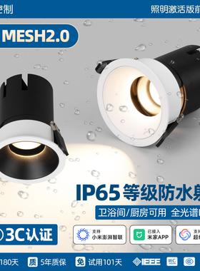 维立光照明IP65防水射灯已接入米家APP智能厨房卫生间防水雾射灯