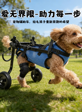 宠物残疾车狗狗康复车老年狗狗瘫痪助力车行动不便宠物辅助车泰迪
