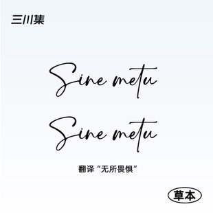 三川集草本纹身贴 无所畏惧 防水男女英文句个性高级感锁骨手臂