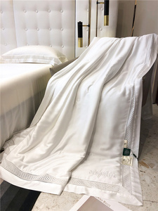 进口LF兰精天丝夏凉被四件套空调双面冰丝被子薄款可机洗凉感夏被