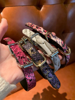 棠洛 彩色蛇紋choker項(xiàng)圈女朋克辣妹風(fēng)頸鏈甜酷y2k亞文化小眾項(xiàng)鏈