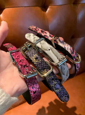 棠洛 彩色蛇纹choker项圈女朋克辣妹风颈链甜酷y2k亚文化小众项链