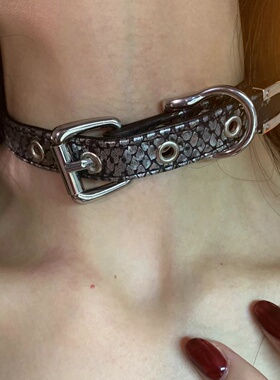 棠洛 恶女蛇纹高级感choker项圈女亚文化颈链y2k配饰脖颈链2024潮