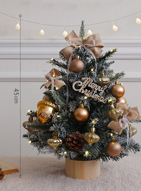 New Christmas product with lights, encrypted PE Christmas