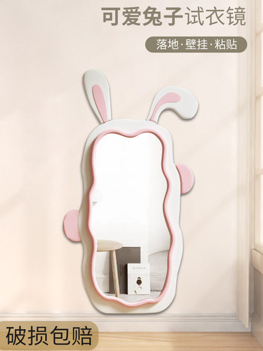 兔子不规则网红ins穿衣镜试衣镜