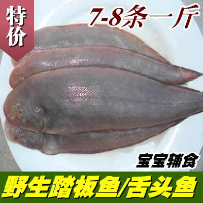 启东海鲜野生大踏板鱼新鲜 舌头鱼 龙利鱼 鲽鱼 扁鱼 平鱼 比目鱼