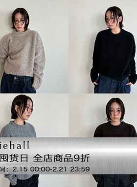 Anniehall24fw wool sweater重磅有厚度丝光羊毛颗粒绒羊毛毛衣