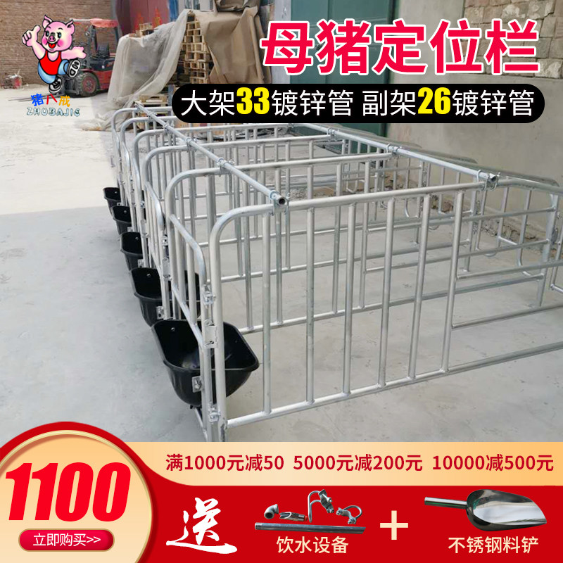 母猪定位栏5头猪10头猪猪用限位栏 32直径镀锌管 猪用围栏防护栏