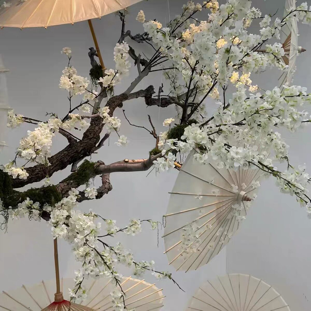 石鼓油纸伞防雨防晒古典汉服摄影道具伞国风旗袍走秀伞吊顶装饰伞