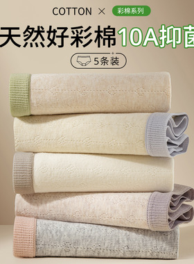 2026新款女士纯棉内裤三角裤抗菌全棉裆无痕中腰大码胖mm女生内裤