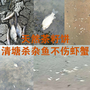 茶籽饼清塘杂鱼福寿螺养殖虾蟹
